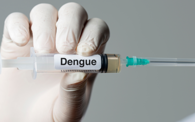 Vacinas contra Dengue no Brasil: Conheça as Opções Disponíveis e o Programa de Vacinação